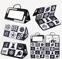 Baby Foldable Book & Floor Mat