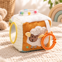 Baby Sensory Activity Cube – Interactive Stroller Hanging Toy
