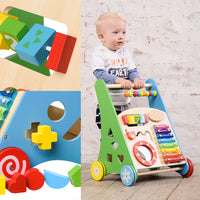 Baby Womb World - Push and Pull Learning & Playing Wooden Activity Walker