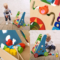 Baby Womb World - Push and Pull Learning & Playing Wooden Activity Walker