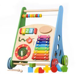 Baby Womb World - Push and Pull Learning & Playing Wooden Activity Walker