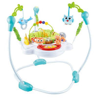 Kangaroo Multi Use Baby Jumper Bouncer